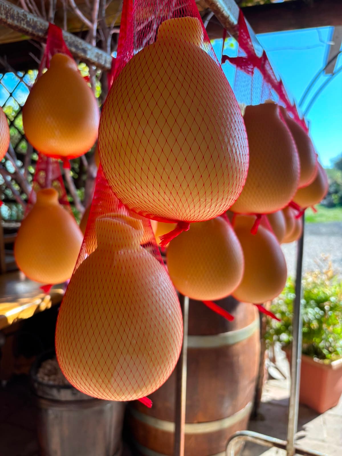 Caciocavallo stagionato